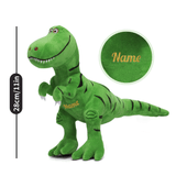 Load image into Gallery viewer, Name Personalized Dinosaur Stuffed Animal Cute T Rex Plush Toy for Boys Girls Birthday Gifts Green Trex 28cm