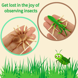 Load image into Gallery viewer, Simulated Insect Observation Box Toy