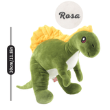 Load image into Gallery viewer, Name Personalized Dinosaur Stuffed Animal Cute T Rex Plush Toy for Boys Girls Birthday Gifts Spinosaurus