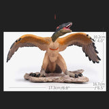 Load image into Gallery viewer, Archaeopteryx Ornaments Simulation Solid Wild Animal Dinosaur Model Figure Birds Dinosaur Archaeopteryx 02(Medium)